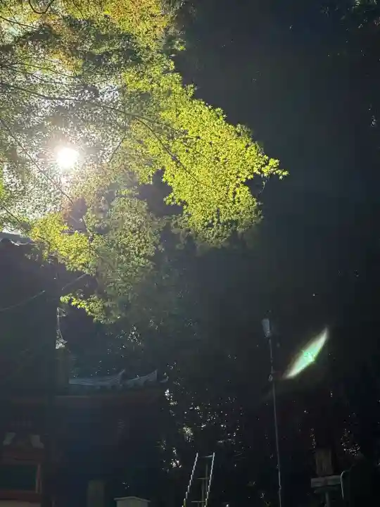 宝山寺(奈良県)