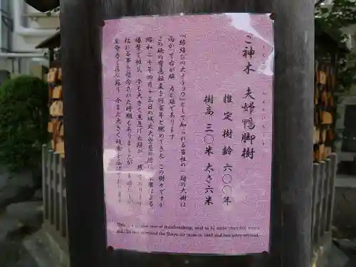 天祖神社の歴史