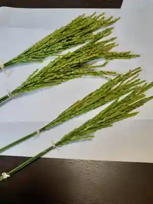 伏木香取神社のその他建物