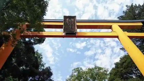 川越氷川神社の鳥居