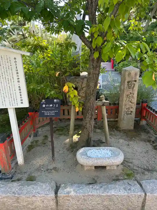 白山神社(新潟県)