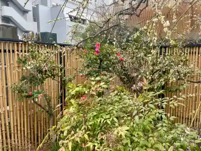 西応寺の{uncategorized: "未分類", other: "その他", undefined: "問題あり", building: "その他建物", grave: "お墓", sacred_gate: "鳥居", guardian: "狛犬", statue: "像", buddha: "仏像", history: "歴史", nature: "自然", garden: "庭園", animal: "動物", pagoda: "塔", temizu: "手水舎", mountain_gate: "山門・神門", sanctuary: "本殿・本堂", subordinate: "末社・摂社", art: "芸術", scenery: "景色", jizo: "地蔵", ema: "絵馬", goshuin: "御朱印", omikuji: "おみくじ", items: "授与品その他", amulet: "お守り", goshuincho: "御朱印帳", eats: "食事", festival: "お祭り", votive_dance: "神楽", shichigosan: "七五三参", wedding: "結婚式", experience: "体験その他", initially: "初詣", around: "周辺", anti_infection: "感染症対策"}