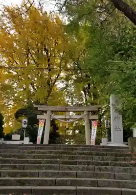 葛西神社の鳥居