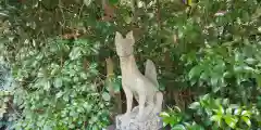 木嶋坐天照御魂神社の狛犬