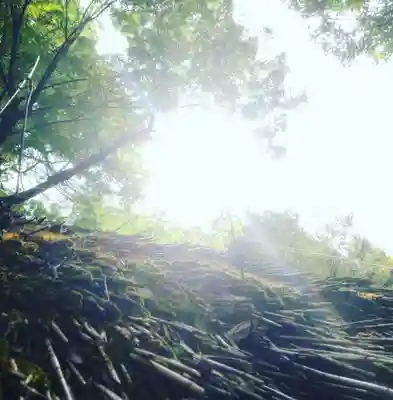 明治神宮のその他建物