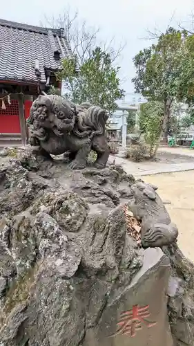 今井神社の狛犬