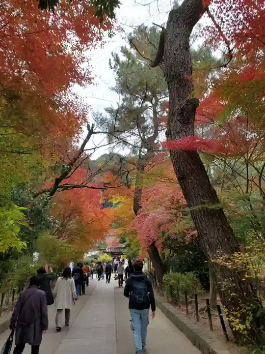 宇治上神社のその他建物