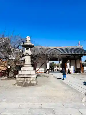 東寺（教王護国寺）(京都府)