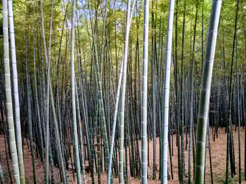 石清水八幡宮(京都府)