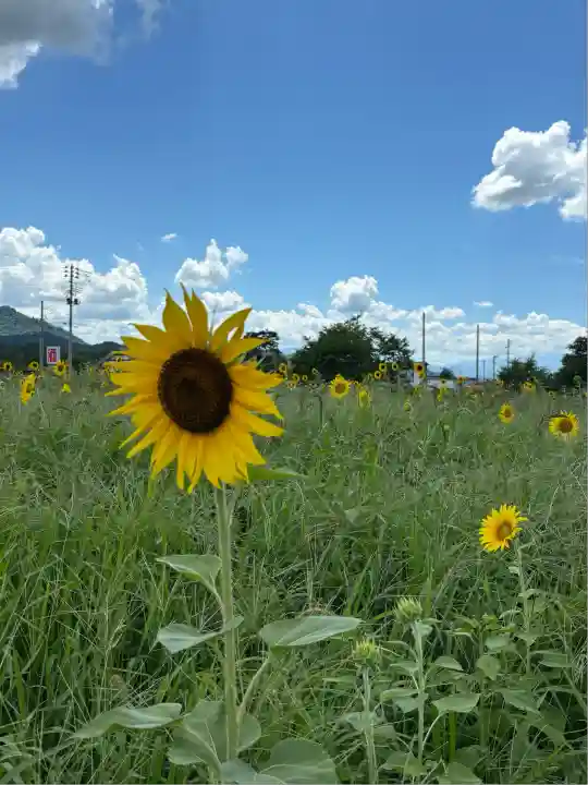 安久津八幡神社(山形県)