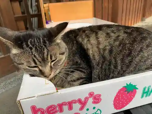 前玉神社(埼玉県)