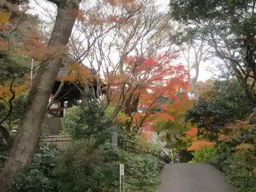 妙本寺の景色