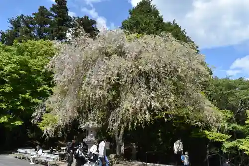 比叡山延暦寺の周辺