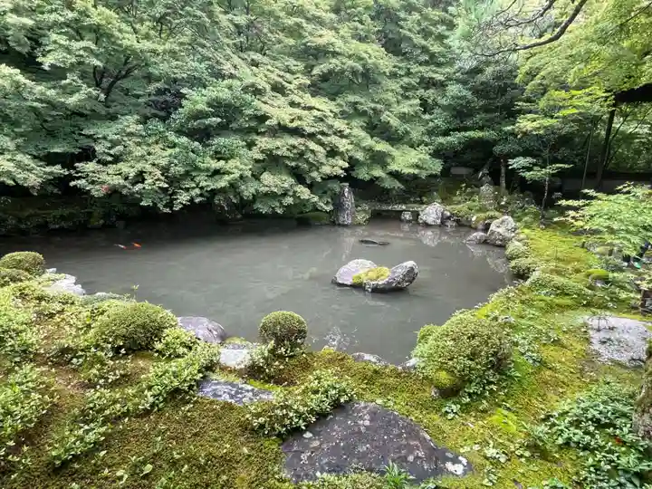 蓮華寺(洛北蓮華寺)(京都府)