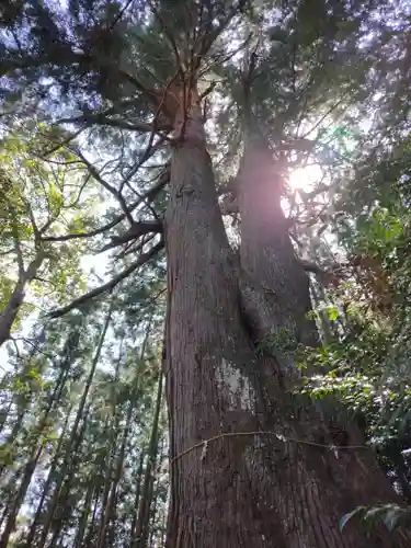 黒瀧神社(三重県)
