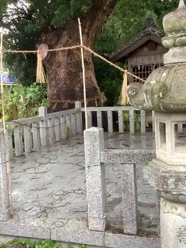 大社神社のその他建物