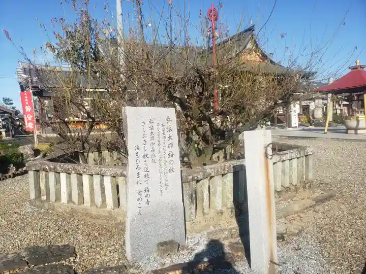 乙津寺 (鏡島弘法)の自然