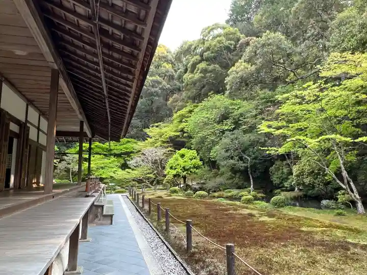 南禅院(京都府)