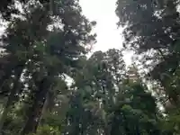 大宮温泉神社(栃木県)