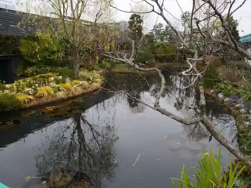 伏見稲荷神社の自然