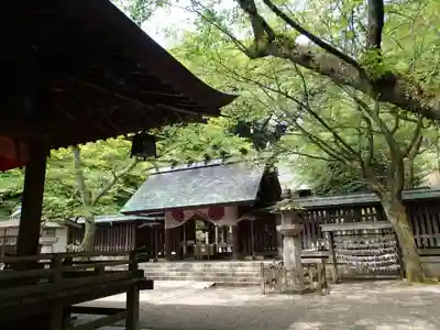 金崎宮の本殿・本堂