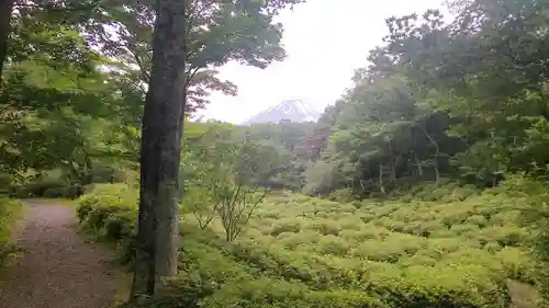 胎内神社の景色