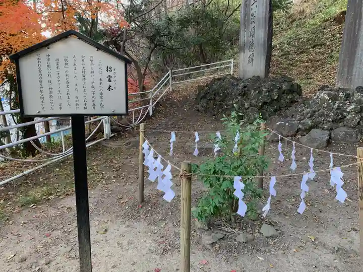 若宮八幡宮の自然