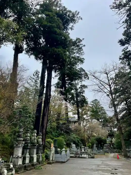 最福寺の{uncategorized: "未分類", other: "その他", undefined: "問題あり", building: "その他建物", grave: "お墓", sacred_gate: "鳥居", guardian: "狛犬", statue: "像", buddha: "仏像", history: "歴史", nature: "自然", garden: "庭園", animal: "動物", pagoda: "塔", temizu: "手水舎", mountain_gate: "山門・神門", sanctuary: "本殿・本堂", subordinate: "末社・摂社", art: "芸術", scenery: "景色", jizo: "地蔵", ema: "絵馬", goshuin: "御朱印", omikuji: "おみくじ", items: "授与品その他", amulet: "お守り", goshuincho: "御朱印帳", eats: "食事", festival: "お祭り", votive_dance: "神楽", shichigosan: "七五三参", wedding: "結婚式", experience: "体験その他", initially: "初詣", around: "周辺", anti_infection: "感染症対策"}