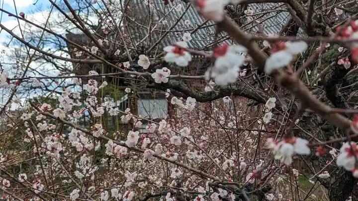 智積院(京都府)