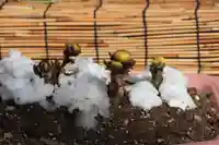 阿邪訶根神社の自然