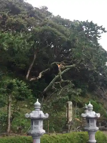 誕生寺のその他建物