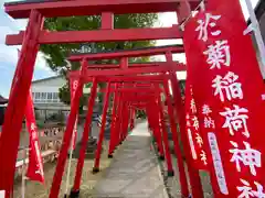 於菊稲荷神社の鳥居