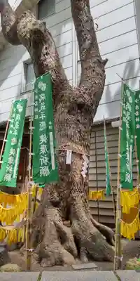 少彦名神社のその他建物