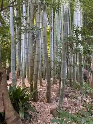 報国寺(神奈川県)