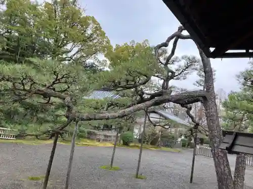 廬山寺（廬山天台講寺）(京都府)