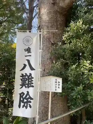 阿佐ヶ谷神明宮(東京都)