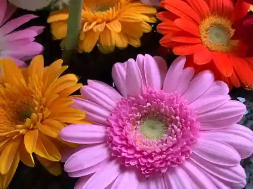 滑川神社 - 仕事と子どもの守り神(福島県)