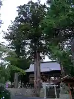 高司神社〜むすびの神の鎮まる社〜の自然