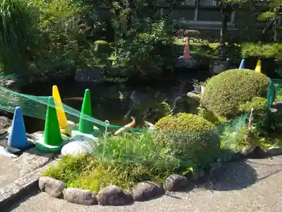 金剛寺のその他建物