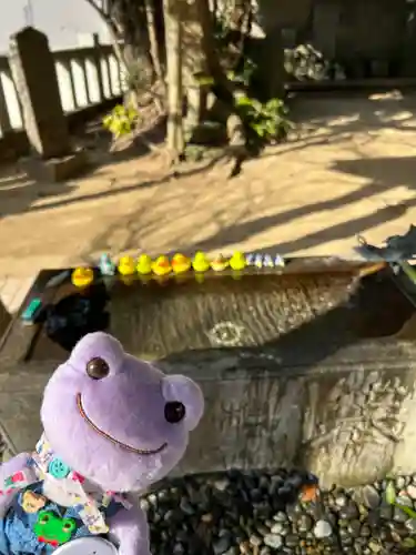 柏諏訪神社(千葉県)