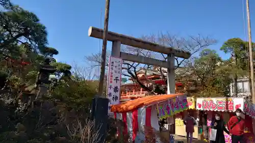 千葉神社の鳥居