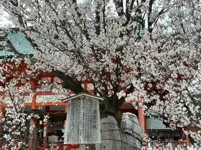 平安神宮(京都府)