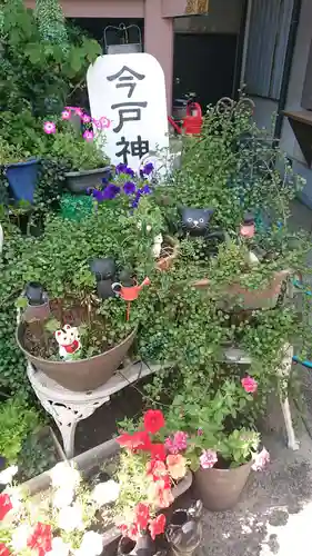 今戸神社(東京都)