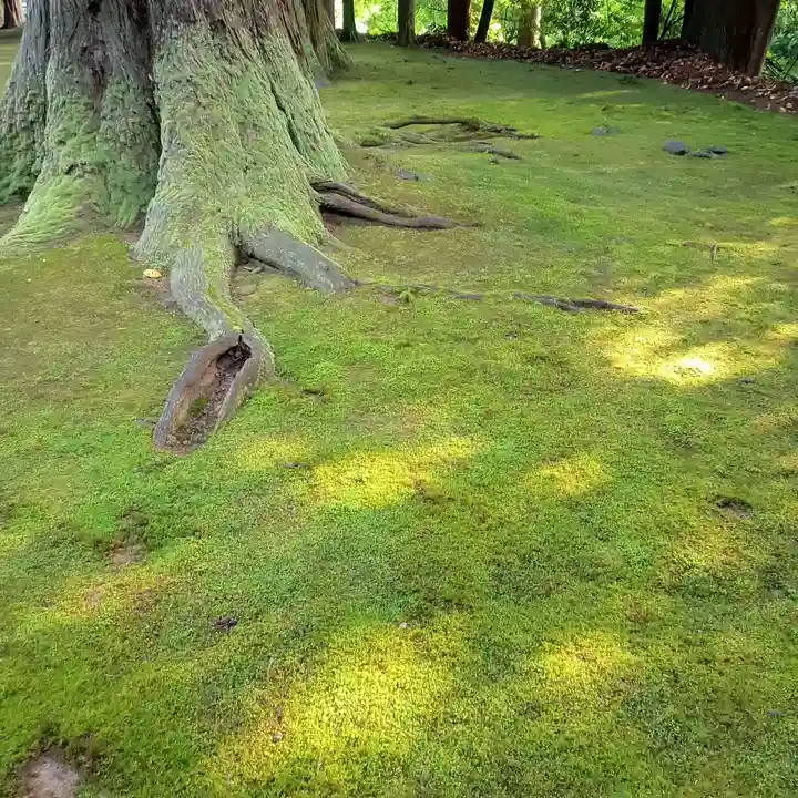 安波賀春日神社(福井県)