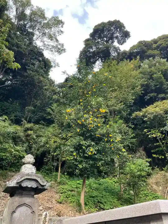 妙伝寺(妙傳寺)(神奈川県)