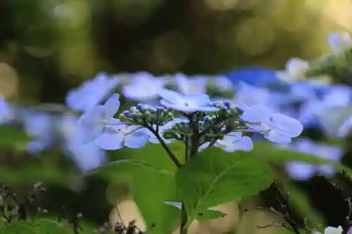 大六天麻王神社の庭園