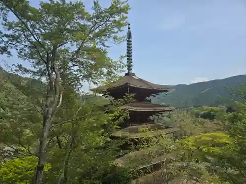 長谷寺(奈良県)