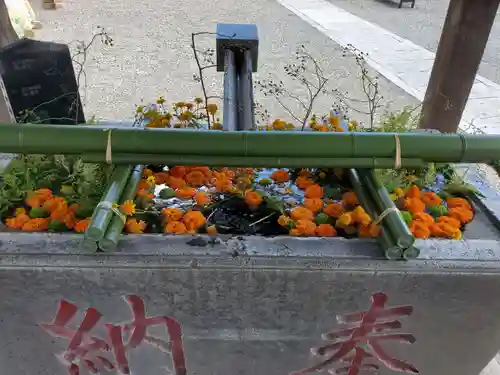 草加神社(埼玉県)