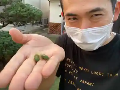 蓮久寺(千葉県)