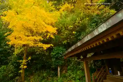 諏訪神社(神奈川県)